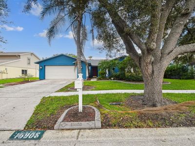 15908 Country Pl, Tampa, FL, 33624