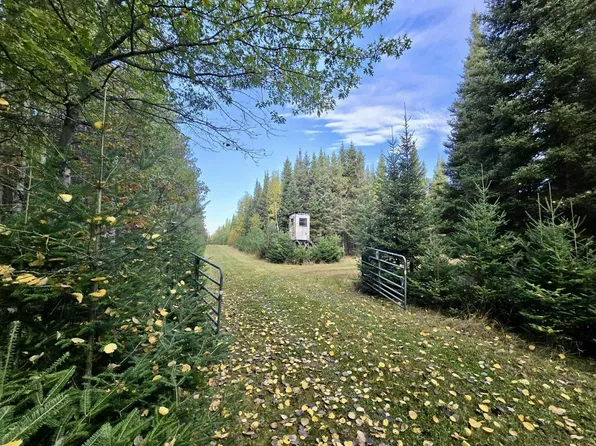 Timber Wolf Trl SW, Pine River, MN 56474