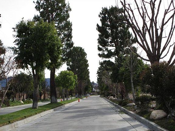 5th image of 20041 Canyon View Dr