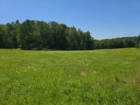 202 Nabinger Hill Rd, Nineveh, NY 13813