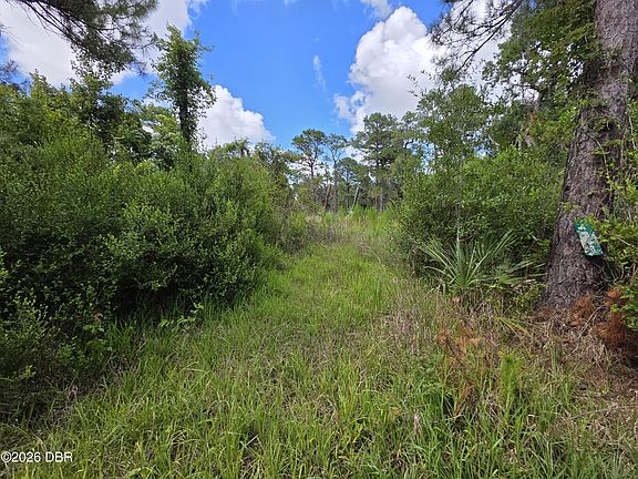 2nd image of 4863 Meadow Green Rd
