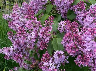 5987 Valmont Rd, Boulder, CO 80301