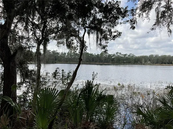 Malauka Radl Lot 46, Ocklawaha, FL 32179