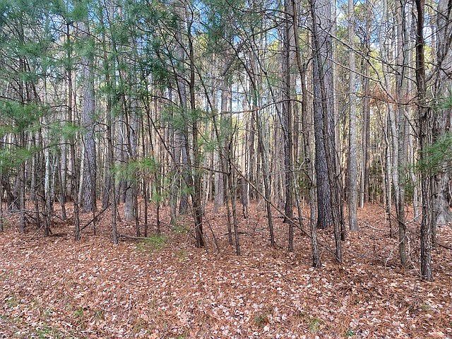 2nd image of LOT 5 Peaceful Pond Dr