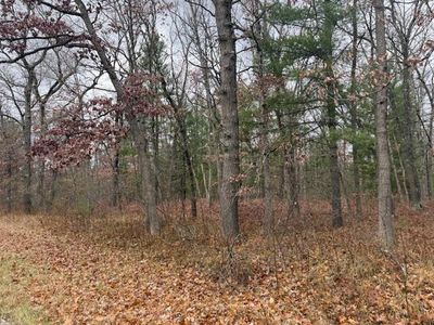PARCEL 2 W Cleveland Dr, Bitely, MI, 49309