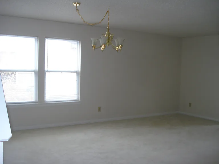 9823 Orange Blossom Trl — Photo 7