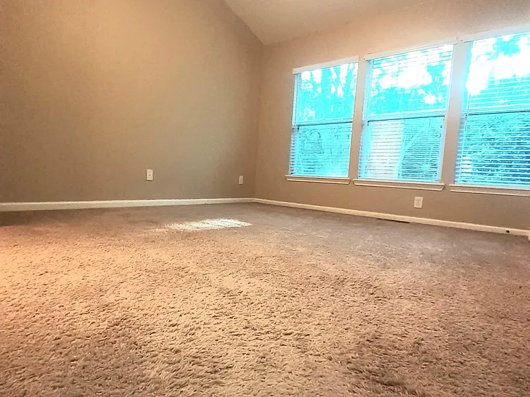 3568 Twisted Tree Ln — Photo 19