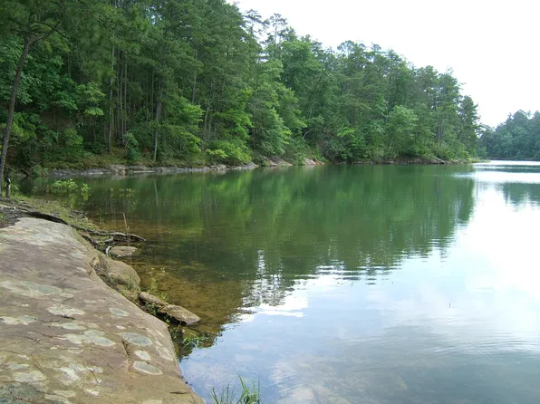 Big Bear Branch Rd, Double Springs, AL 35553