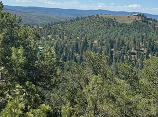 L10c Flute Player, Alto, NM 88312