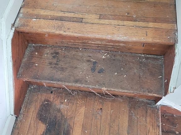 3rd image of 5402 Flatlands Ave #1.1