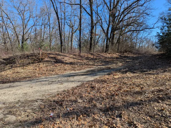 PARCEL E 136th St #B, Sand Lake, MI 49343