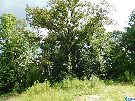 4th image of 10566 State Highway 23 #2