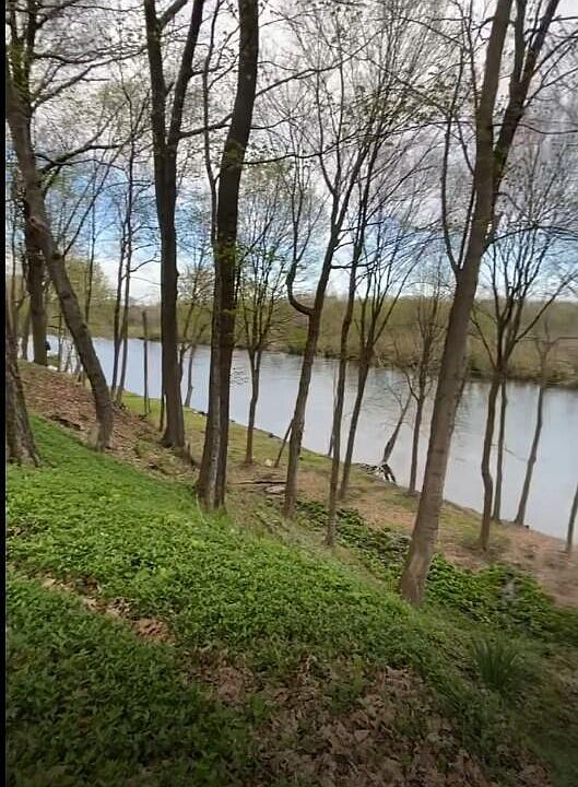 1st image of 2348 Spring Arbor