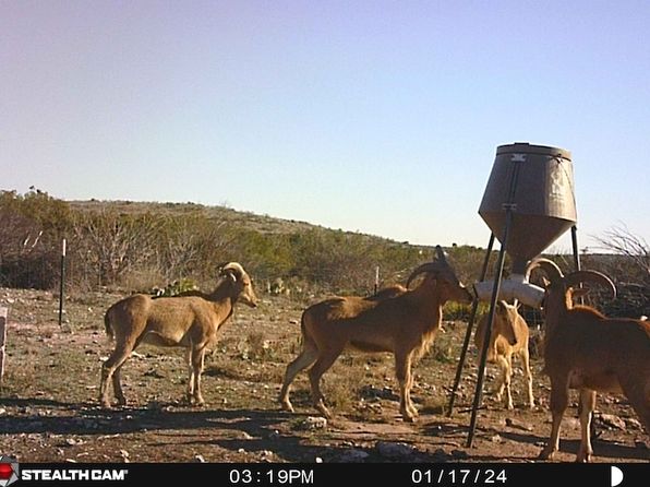 Eastwood Rd, Comstock, TX 78837
