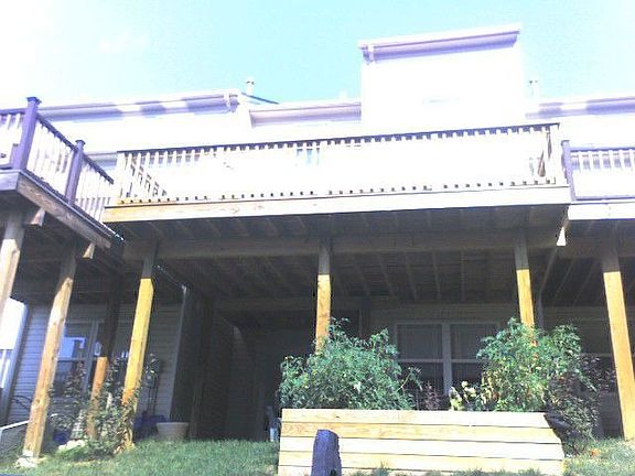 Back of Yard07