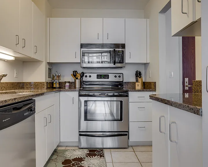 401 E Ontario St #1203 — Photo 7