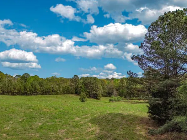 682 Shirley Lathem Rd, Reform, AL 35481