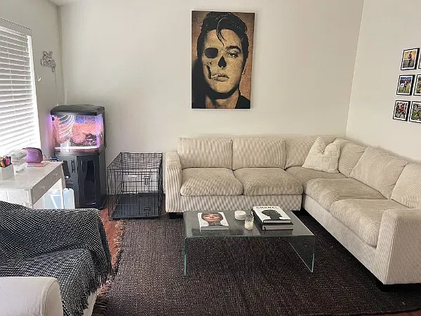 1 bed, 542 sqft, $2,400 — Photo 3