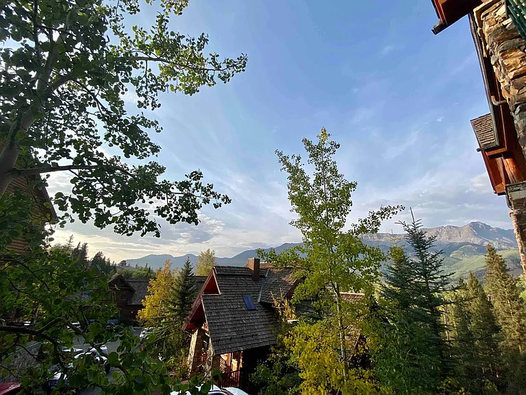 Window View