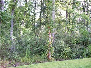 2nd image of 9134 Woodcreek Ct