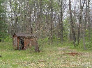 10175 N Irons Rd, Irons, MI 49644