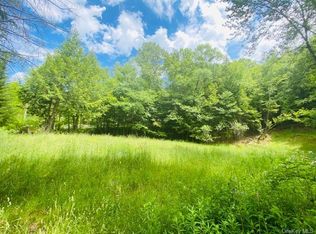 1398 Briscoe Rd, Swan Lake, NY 12783