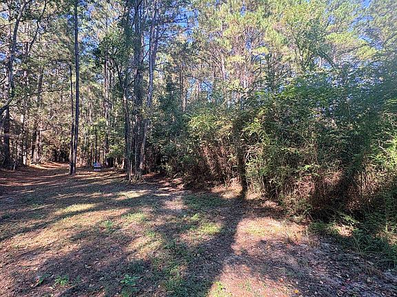 3rd image of 0 County Road 4426