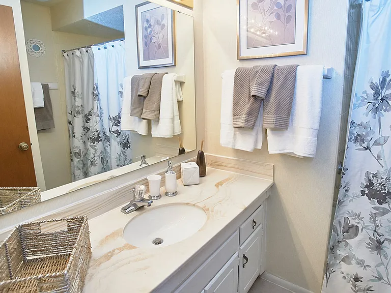 Classic Series Bathroom at Somerset Lakes