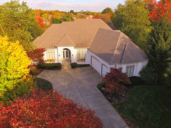 Hamilton Proper-Talon Trace