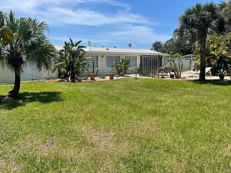large green backyard