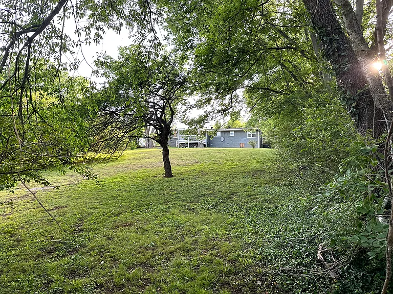5138 Buena Vista Pike — Photo 40