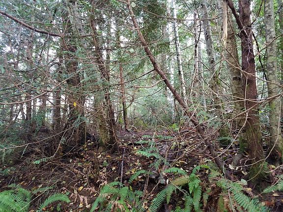 4th image of 14532 NW Honeyhill Loop