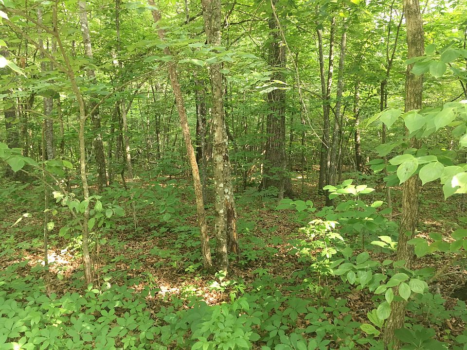 Looking into property