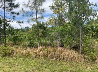 8125 Domenico St, Sebring, FL 33872