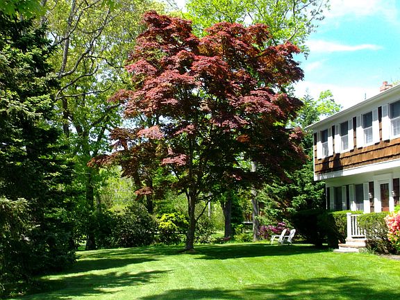 2nd image of 255 Beebe Dr