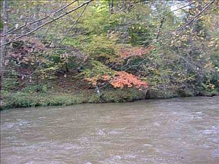 3rd image of 610 Scenic Oak Dr