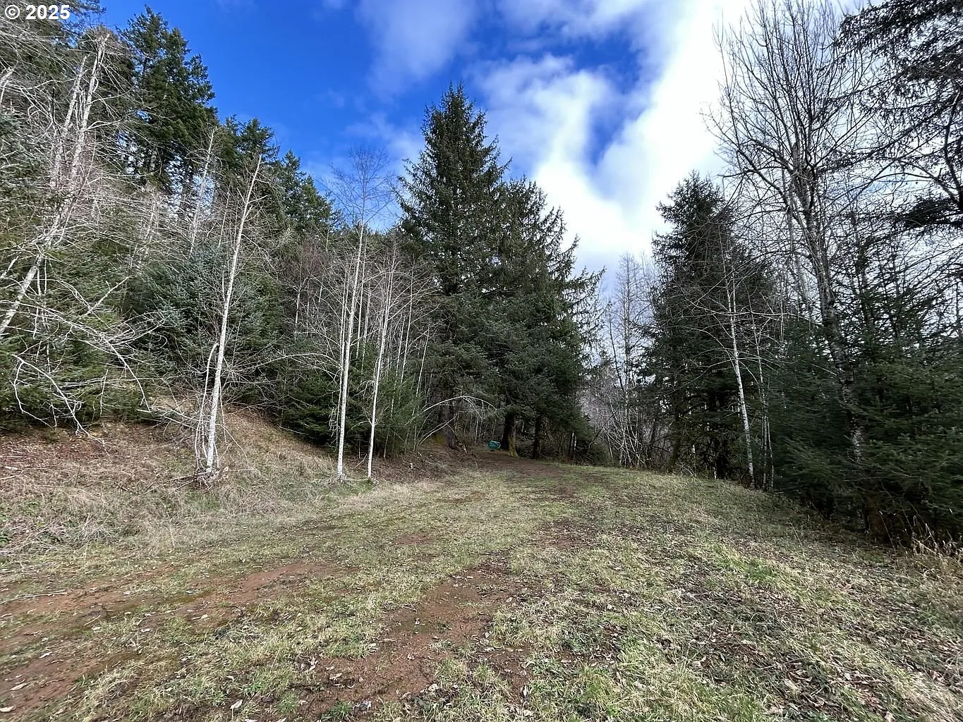 Tl202 Lt Nestucca Rr Hwy photo 1