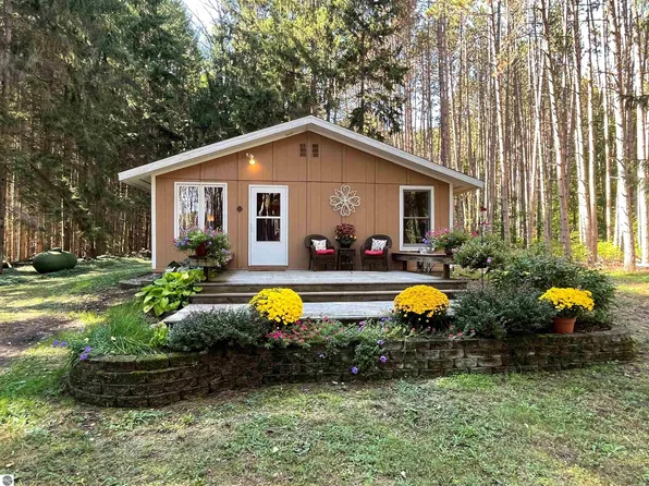 6808 Tanne Valden Strasse E, Bellaire, MI 49615