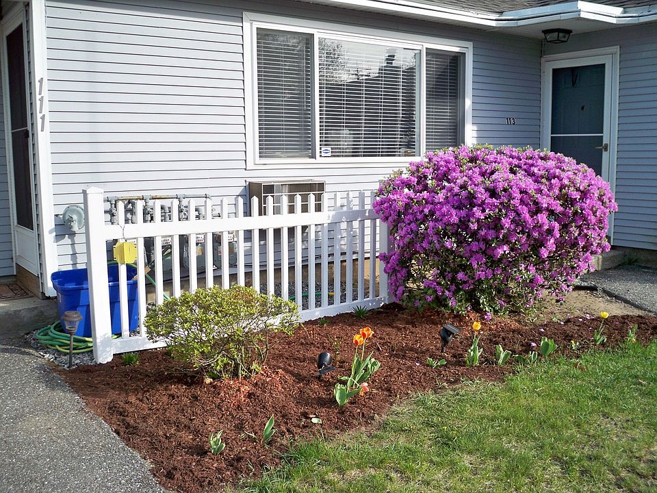 front garden