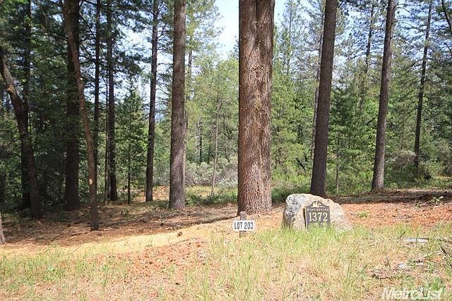 1st image of 1372 Shady Tree Ln