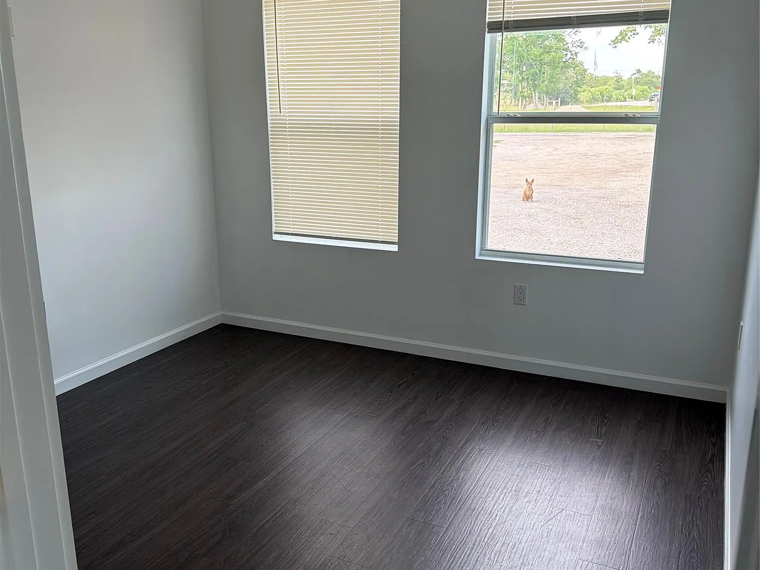 2 bed, 1.5 bath, 800 sqft, $1,450 — Photo 3