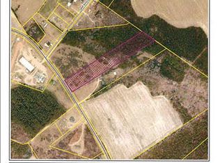 W Pond Ct, Pelion, SC 29073