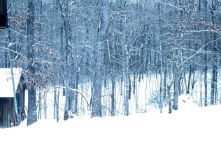 364 Shadow Dr, Marion, NC 28752