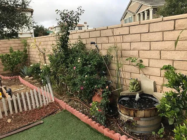 28100 Calle Lumina — Photo 22