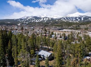212 Briar Rose Ln, Montezuma, CO 80435