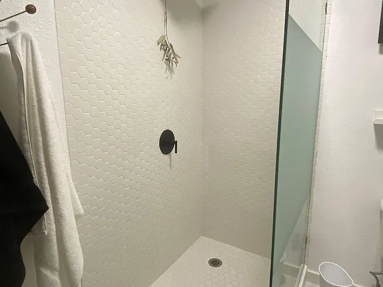 Primary Walk in Shower