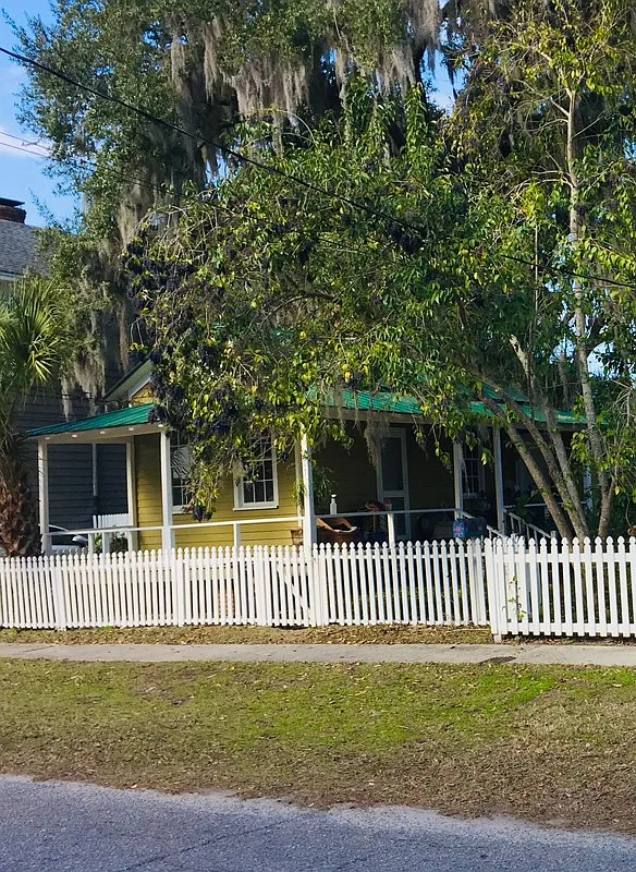 Duke St, Beaufort — Photo 1
