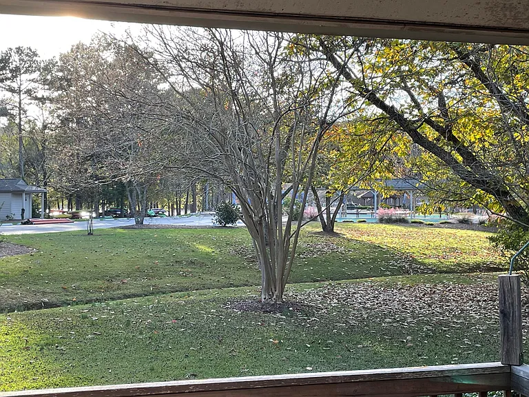 View of Chestnut Pointe park from deck