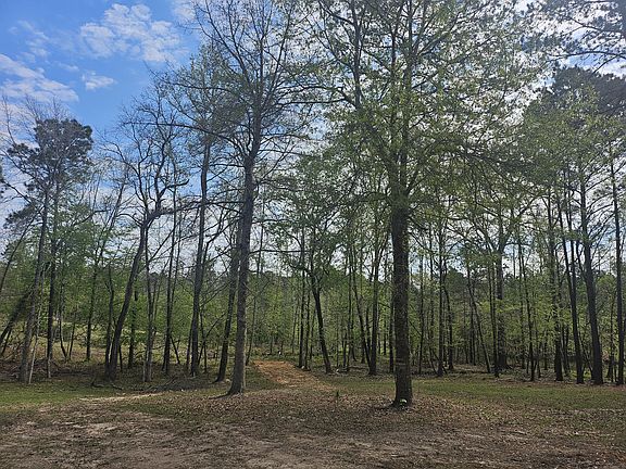 4th image of 308 Chance Dale Rd