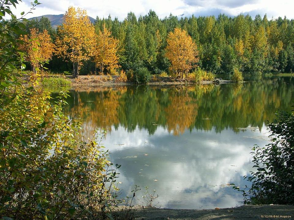 Cheney Lake in Summer